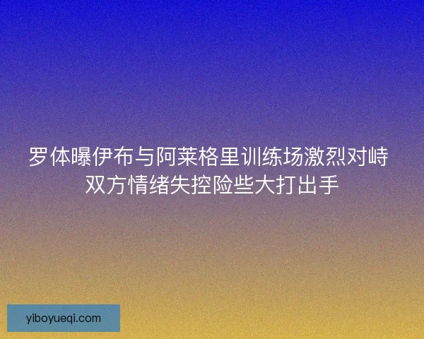 罗体曝伊布与阿莱格里训练场激烈对峙 双方情绪失控险些大打出手